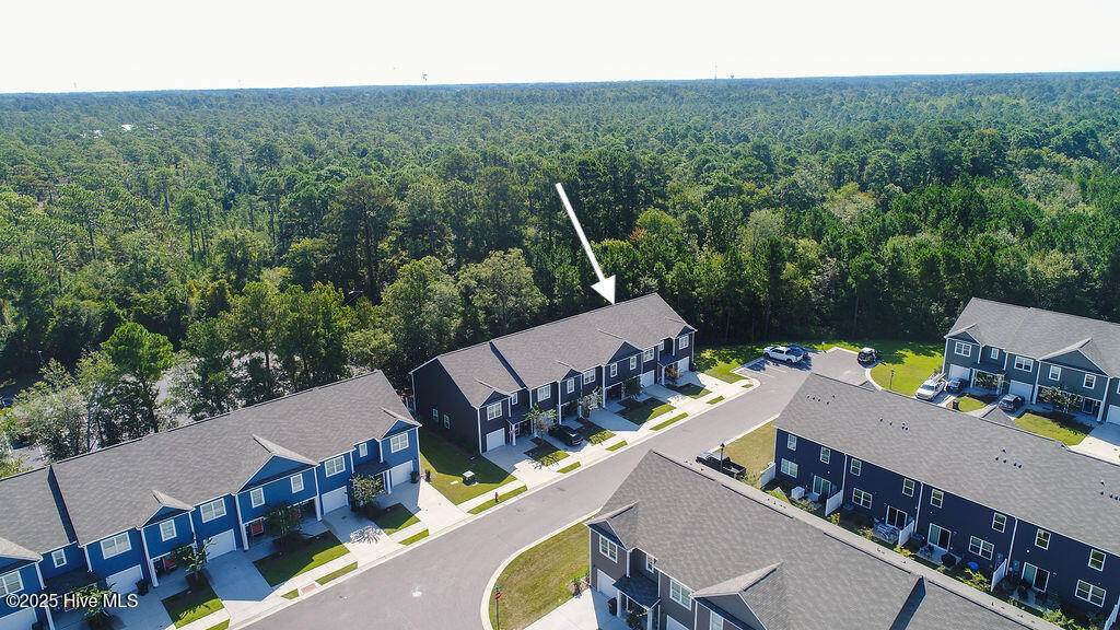 1508 Dove Shell Way Wilmington, NC 28405 - Photo 23 of 25 DJI_0333