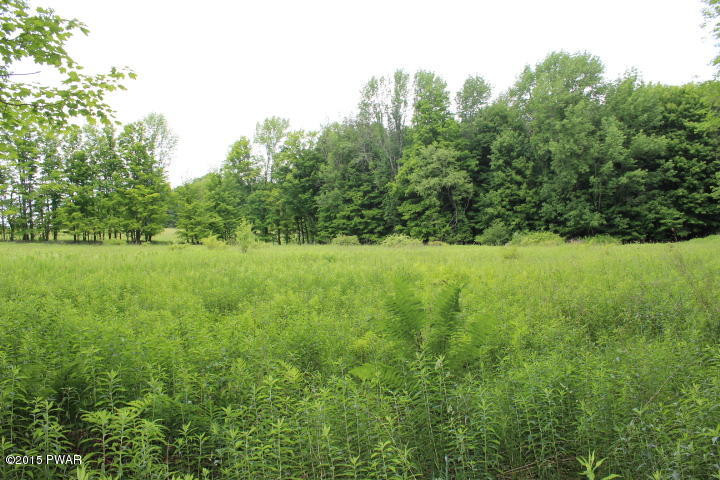 1049 Swoyer Road Lake Ariel, PA 18436 - Photo 25 of 31