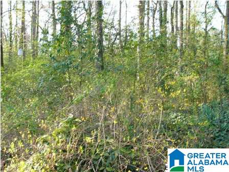 1321 Saulter Road Birmingham, AL 35209 - Photo 23 of 23