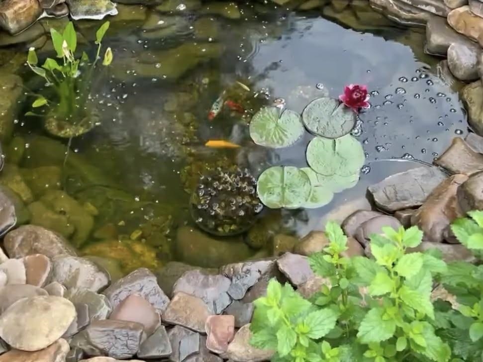 1198 Spaulding Street Staunton, VA 24401 - Photo 43 of 48 a bathroom with a sink mirror and flowers