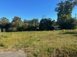 0 East Pass Road Long Beach, MS 39560 - Photo 5 of 6 IMG_7945