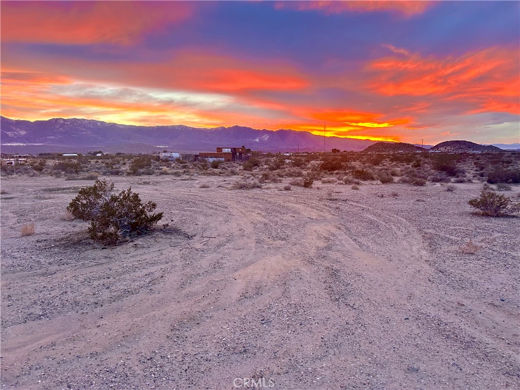 a view of a backyard of a house