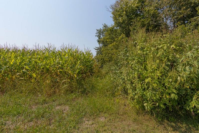 0 Whipple Road, Unit LOT #14 Delaware, OH 43015 - Photo 4 of 10