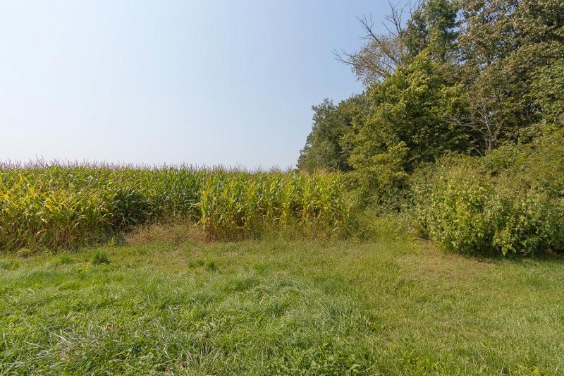 0 Whipple Road, Unit LOT #14 Delaware, OH 43015 - Photo 5 of 10