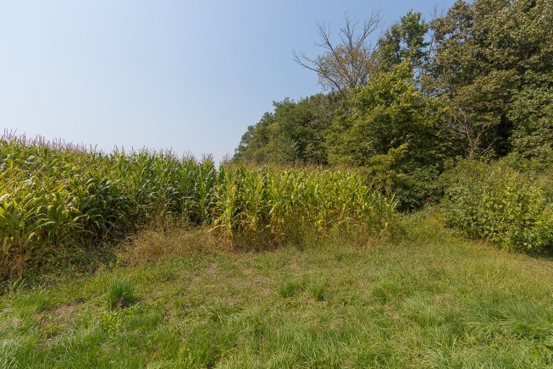 0 Whipple Road, Unit LOT #14 Delaware, OH 43015 - Photo 6 of 10