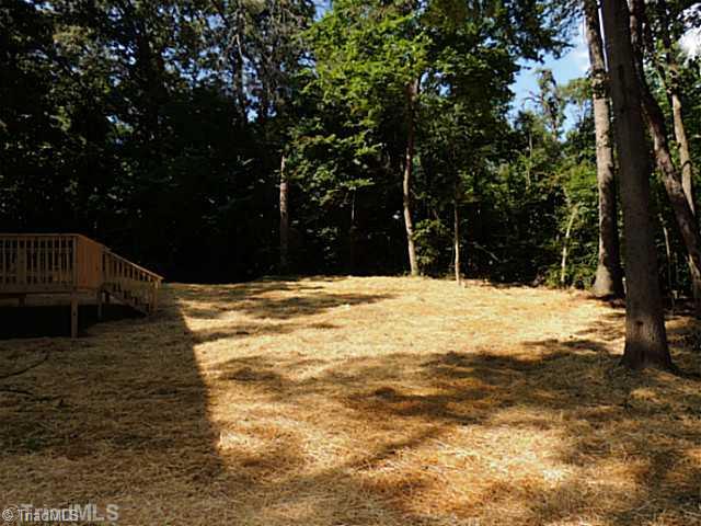 4543 Calm Lake Road Julian, NC 27283 - Photo 4 of 16 Yard/Garden.