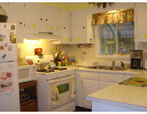 319 South Second Street Apollo, PA 15613 - Photo 6 of 15 Kitchen.