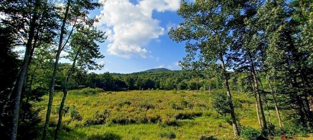 447 Ashby Road Ashburnham, MA 01430 - Photo 32 of 37 a view of a garden with plants and large trees