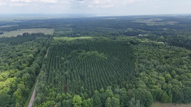 $260,000 | 64500 Setzke Road, Ashland, WI 54806