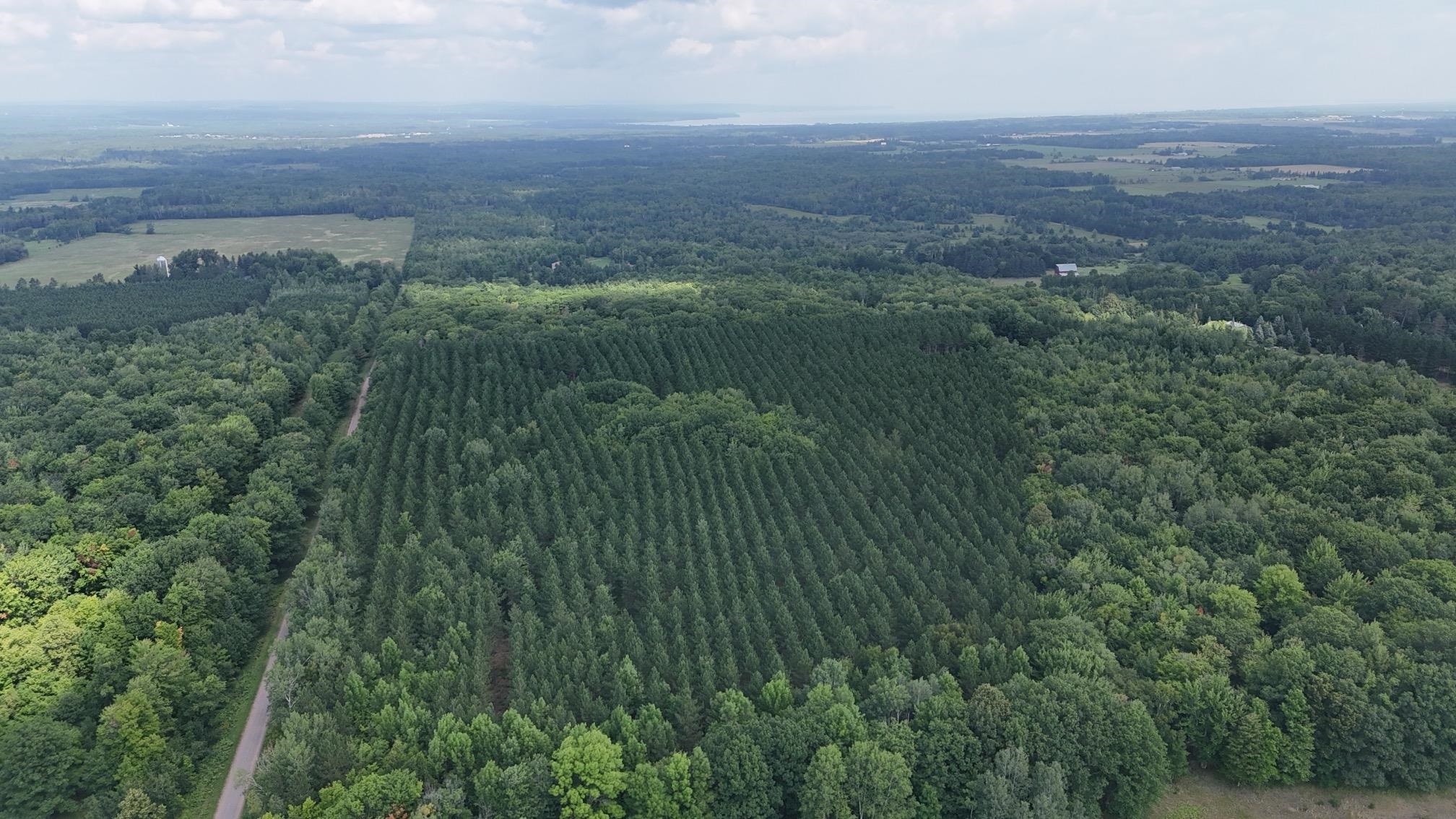 64500 Setzke Road Ashland, WI 54806 - Photo 36 of 36 View to the North
