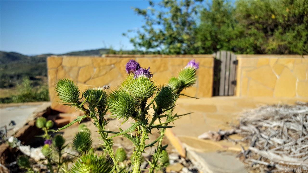 16686 Iron Springs Road Julian, CA 92036 - Photo 12 of 25 Gallery Image 12