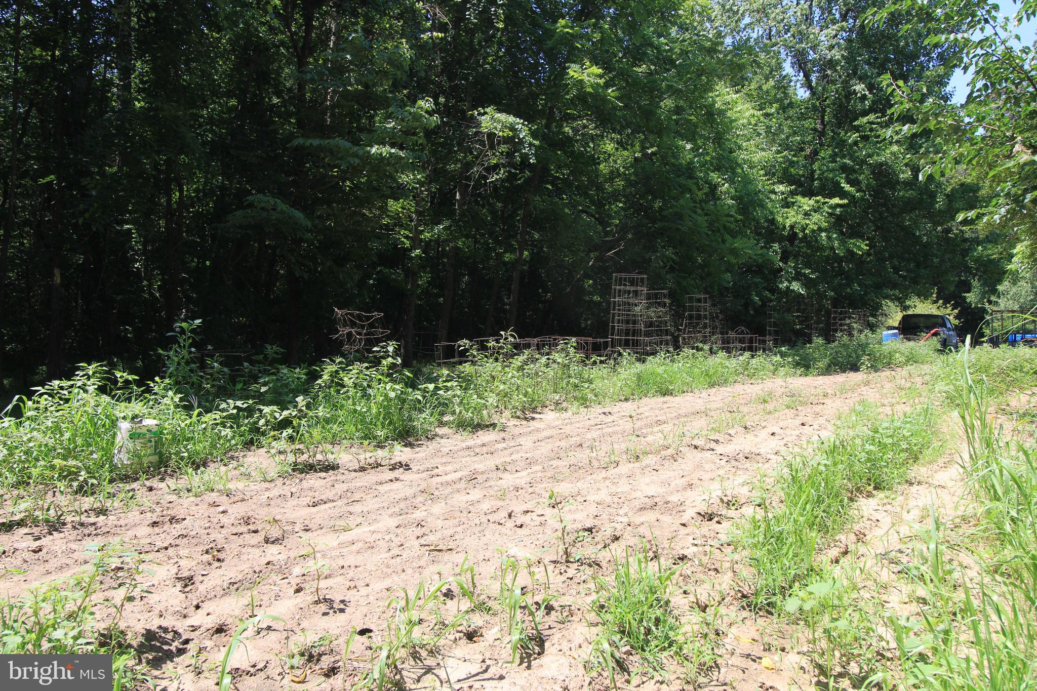 512 Mountain Hall Road Crewe, VA 23930 - Photo 43 of 50