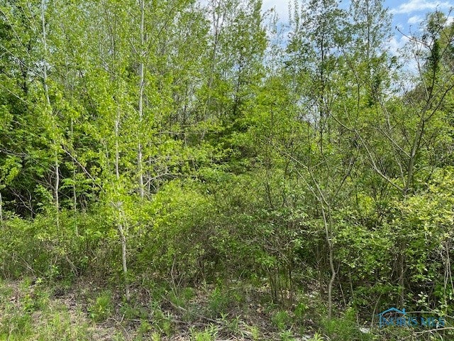9957 Angola Road Swanton, OH 43558 - Photo 1 of 4 Gallery Image 1
