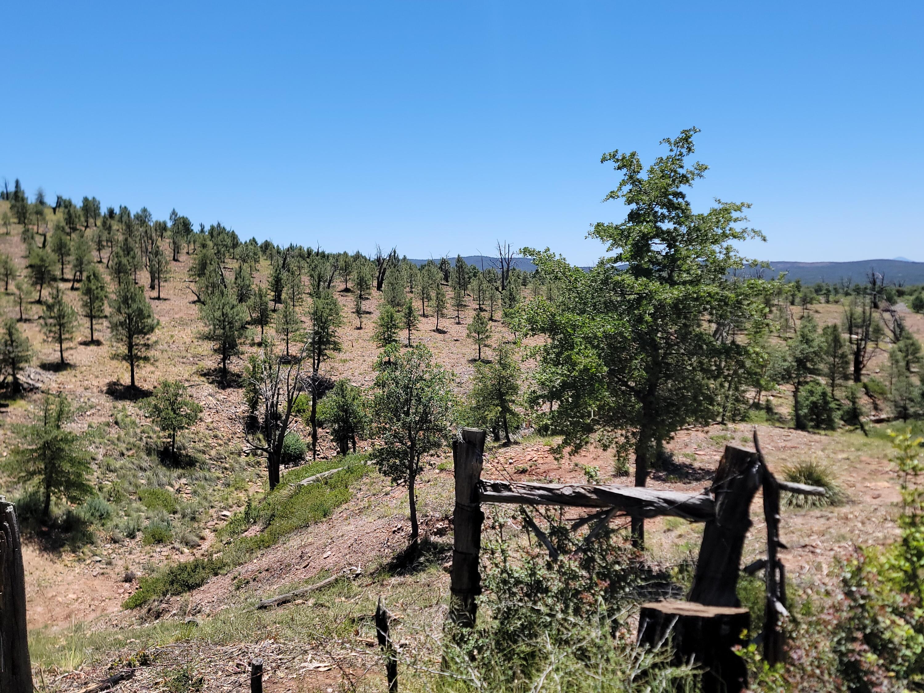 41-42 Antelope Trail Road Payson, AZ 85541 - Photo 4 of 19