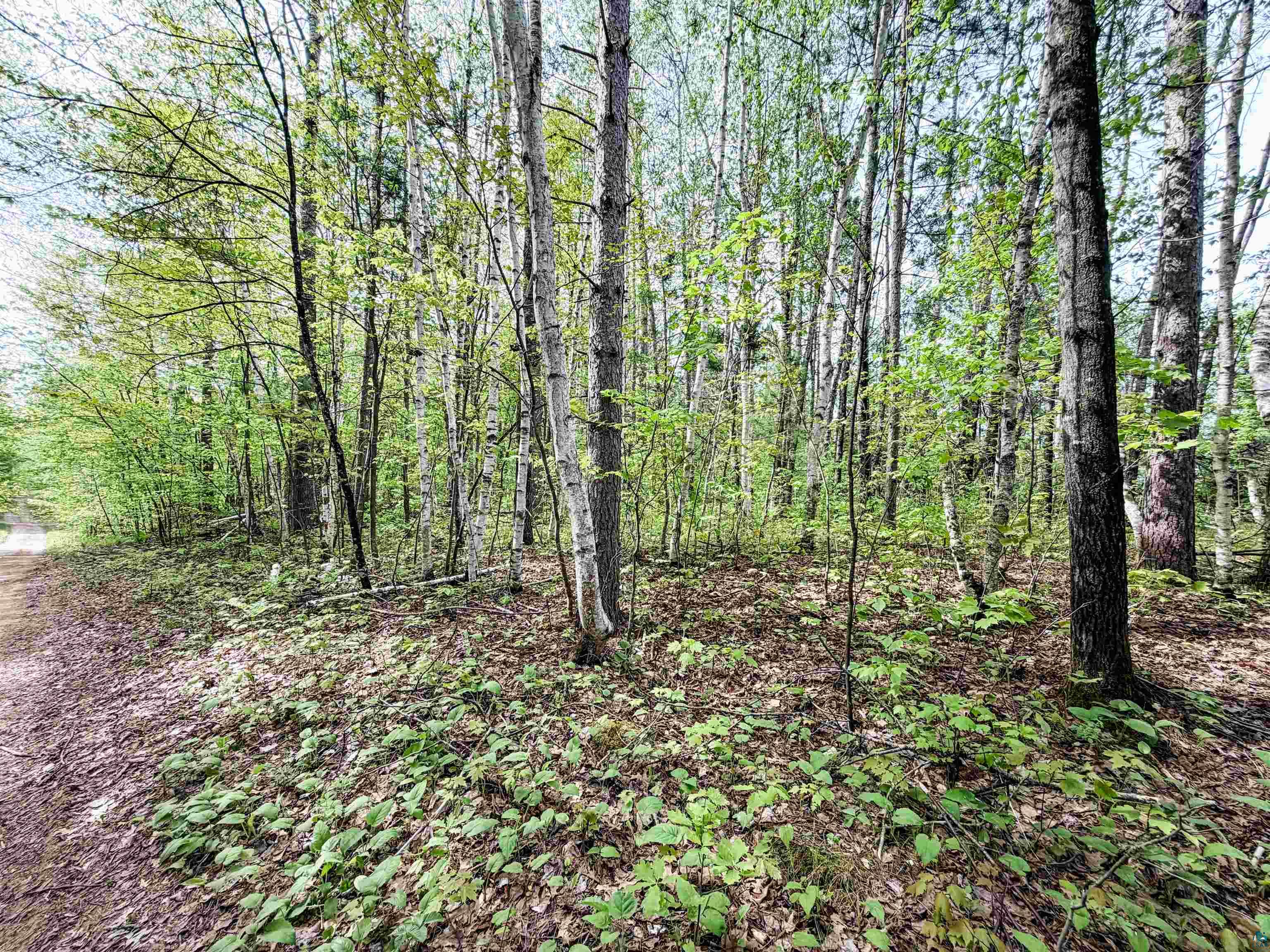 Lot 1 Peterson Road Minong, WI 54859 - Photo 8 of 9