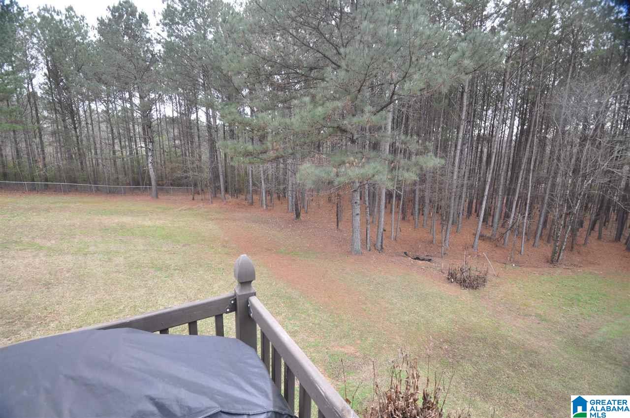 5072 Reeder Road Dora, AL 35062 - Photo 42 of 50