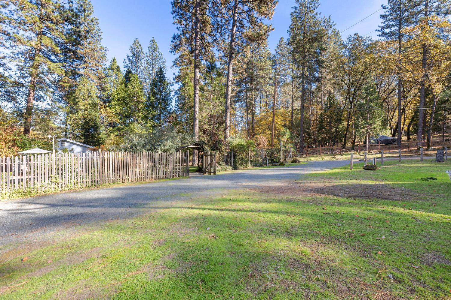 15781 McElroy Road Meadow Vista, CA 95722 - Photo 49 of 56