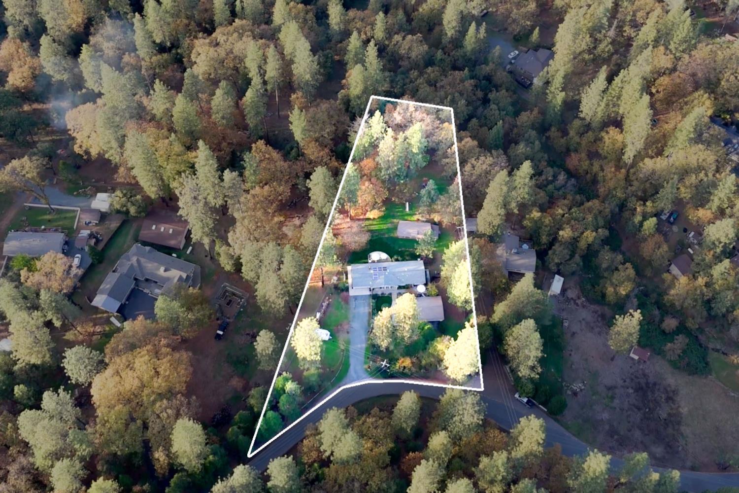 15781 McElroy Road Meadow Vista, CA 95722 - Photo 6 of 56