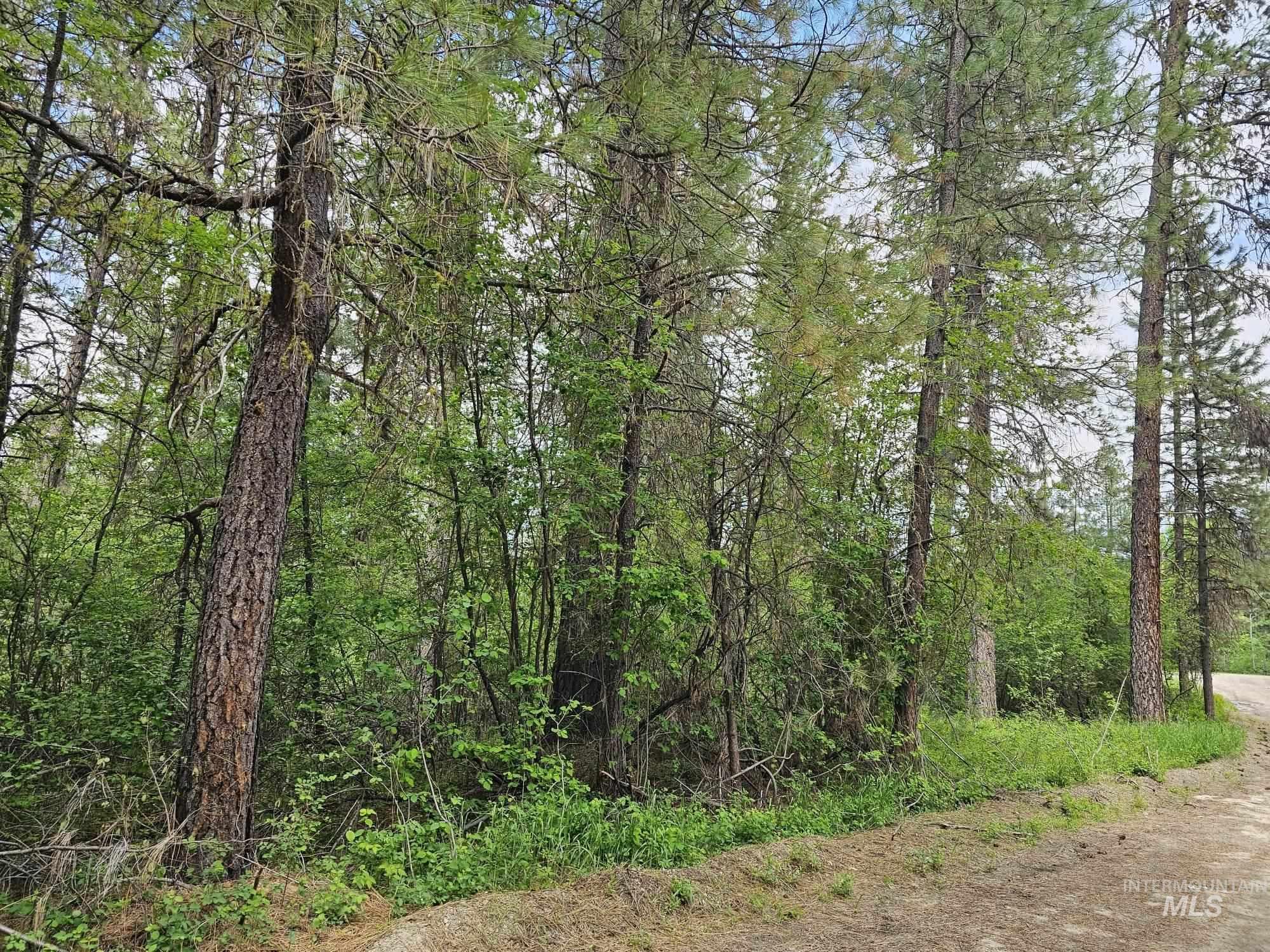Lot 16-17 Caseys Road Garden Valley, ID 83622 - Photo 4 of 8