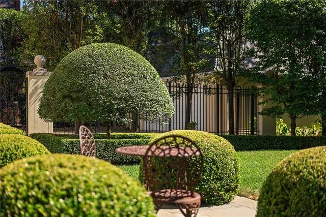 a view of outdoor space yard and green space