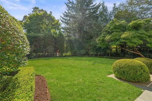 a view of a garden with a slide
