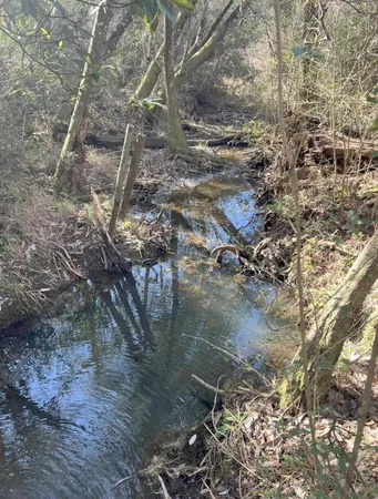 $150,000 | 13-acres Jack Road, Laurel Hill, FL 32567