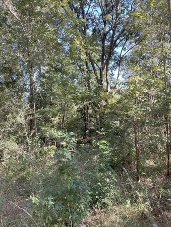 $150,000 | 13-acres Jack Road, Laurel Hill, FL 32567