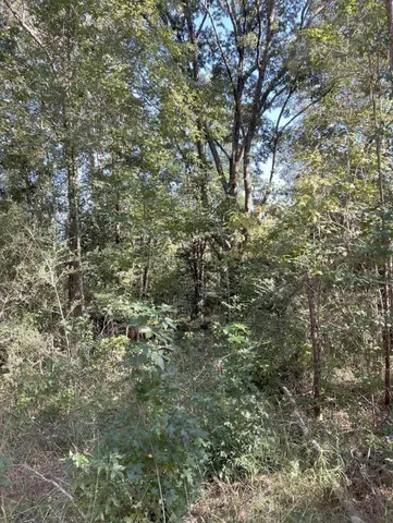 $150,000 | 13-acres Jack Road, Laurel Hill, FL 32567