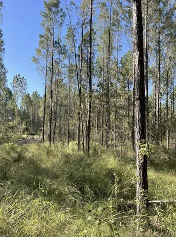 $150,000 | 13-acres Jack Road, Laurel Hill, FL 32567