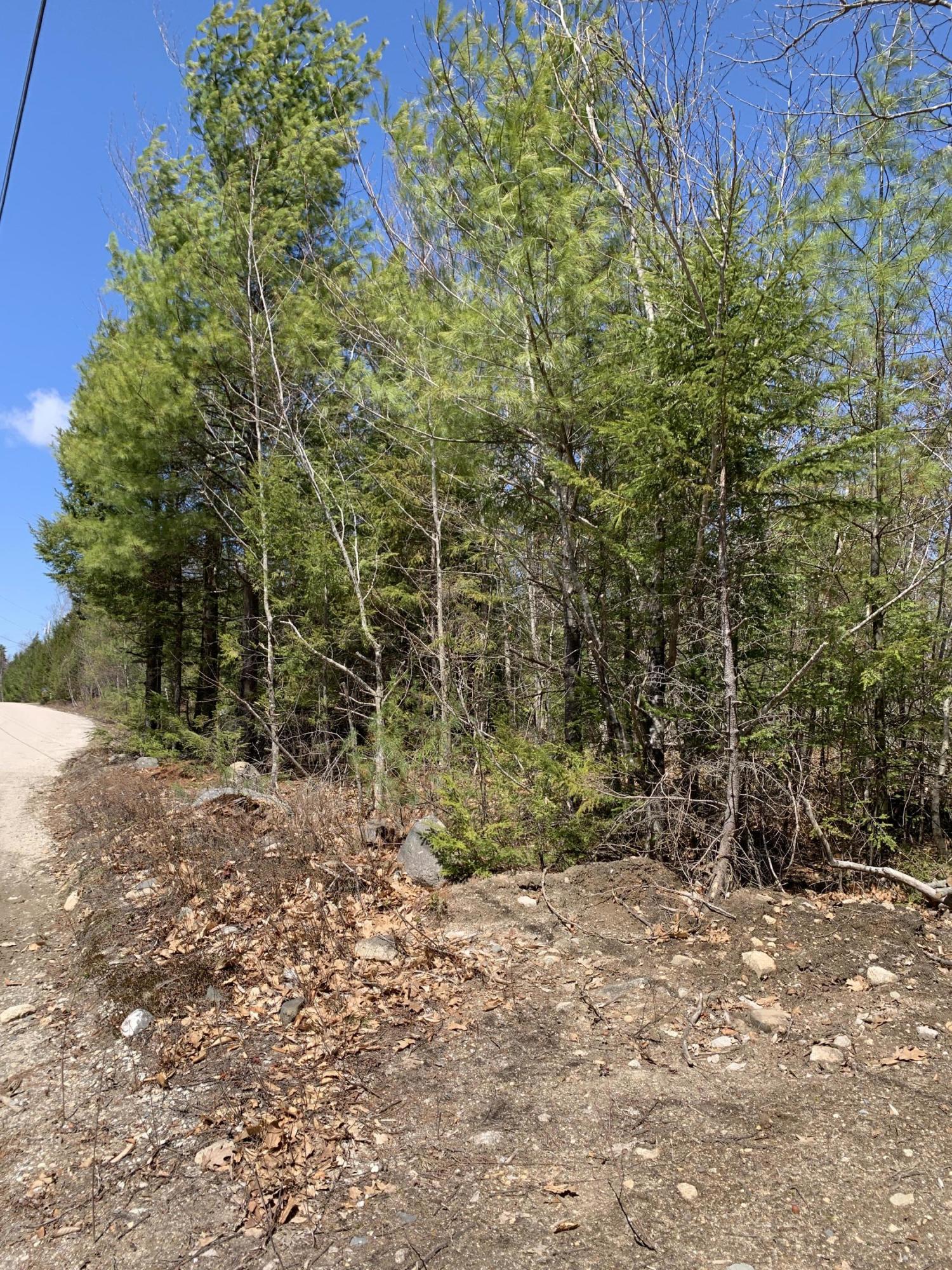Lot 97 Frost Farm Road Bridgton, ME 04009 - Photo 4 of 6 55397471-CFB3-48FA-A387-E8EEEF7661DB