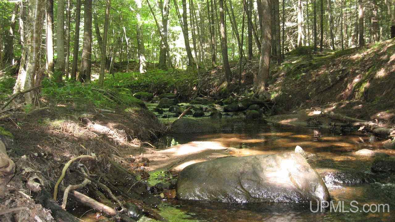 0 Big Bay Road Negaunee, MI 49866 - Photo 11 of 13