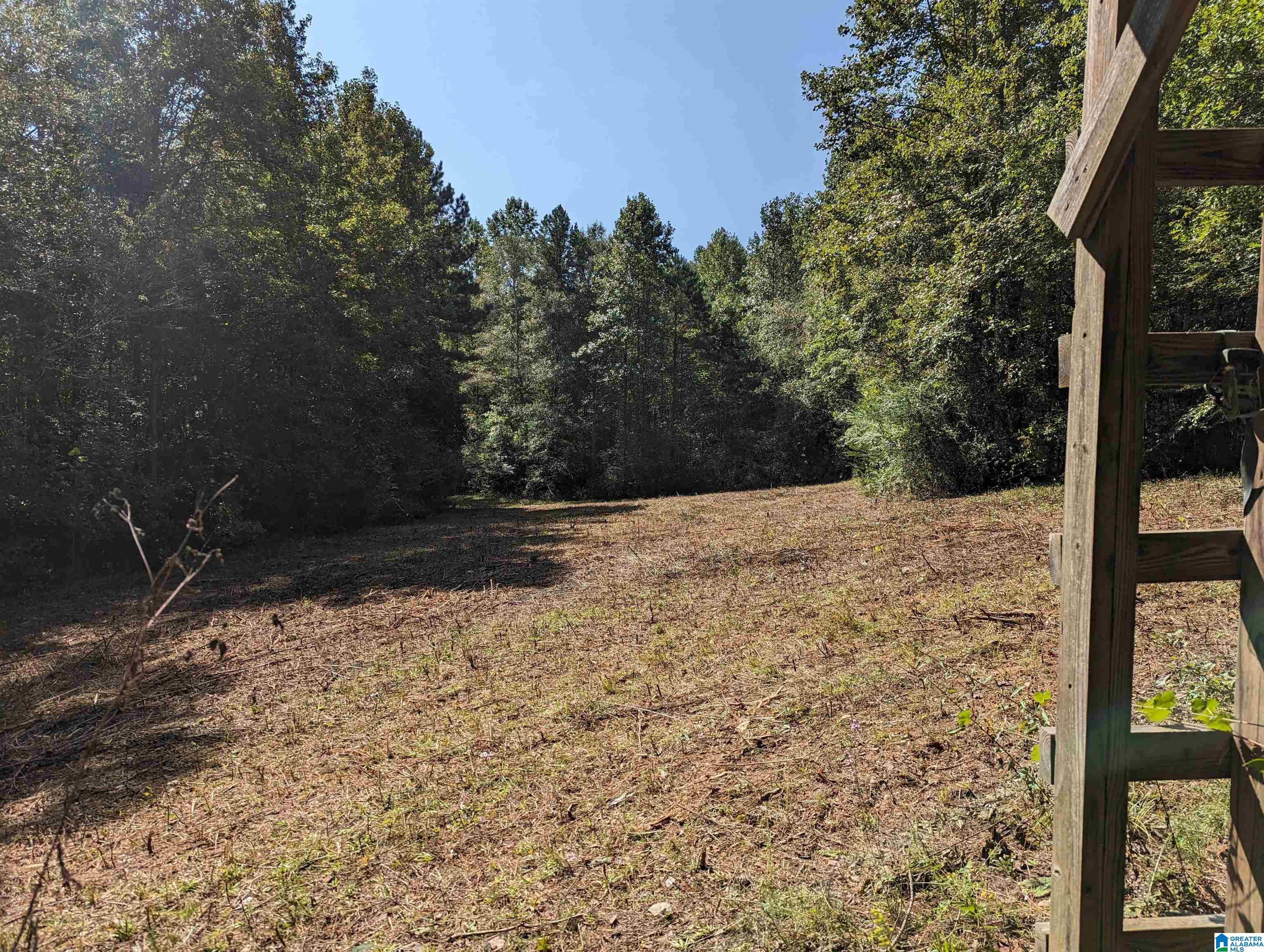 534 County Road, Unit 35 Woodland, AL 36280 - Photo 2 of 22