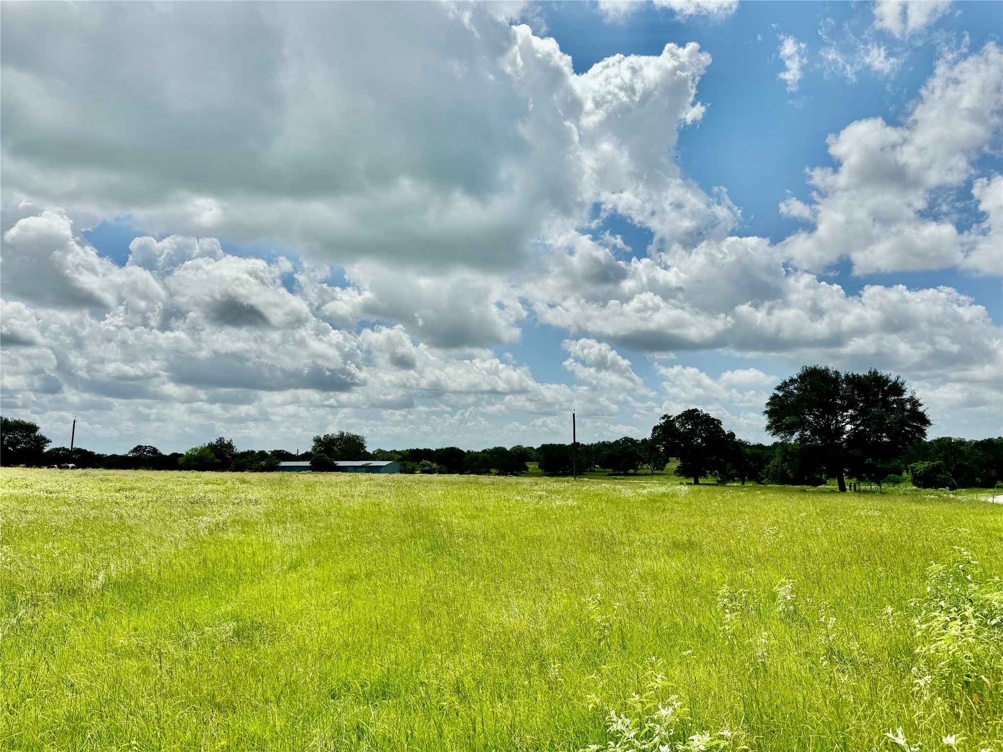 3653 Kaiser-Adams Road Yoakum, TX 77995 - Photo 15 of 22
