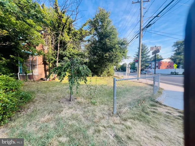 a view of a yard with plants and trees