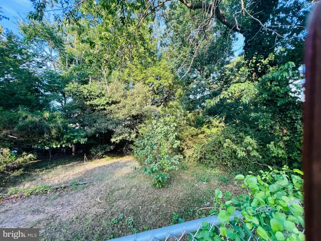 a view of a yard with plants