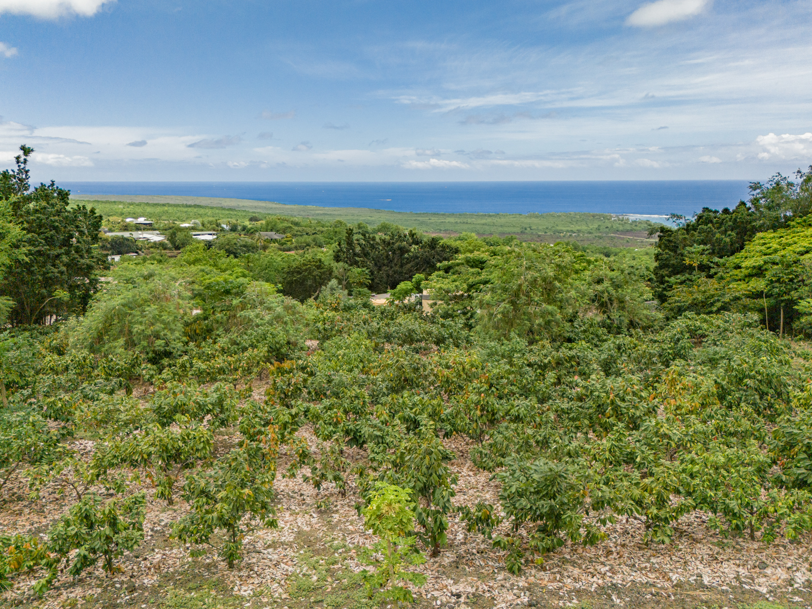 82-5900 Government Main Road Captain Cook, HI 96704 - Photo 26 of 30