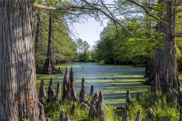 $1,700,000 | 0 Clear Lake Road, Bryan, TX 77808