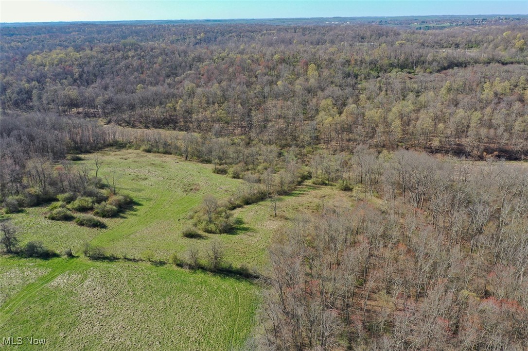 45559 Old Hopedale Road Cadiz, OH 43907 - Photo 14 of 26 Aerial view of property's location featuring a heavily wooded area