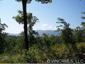 Lot #26 Silver Ridge Road Mill Spring, NC 28756 - Photo 1 of 6 a view of a tree in the middle of a building