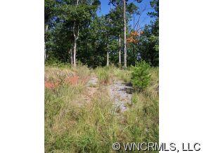 Lot #26 Silver Ridge Road Mill Spring, NC 28756 - Photo 2 of 6 a view of backyard with green space