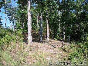 Lot #26 Silver Ridge Road Mill Spring, NC 28756 - Photo 3 of 6 a pathway of a yard