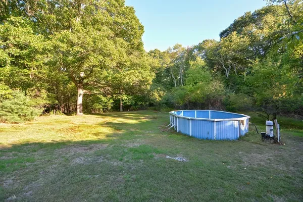 a view of a big yard with large trees