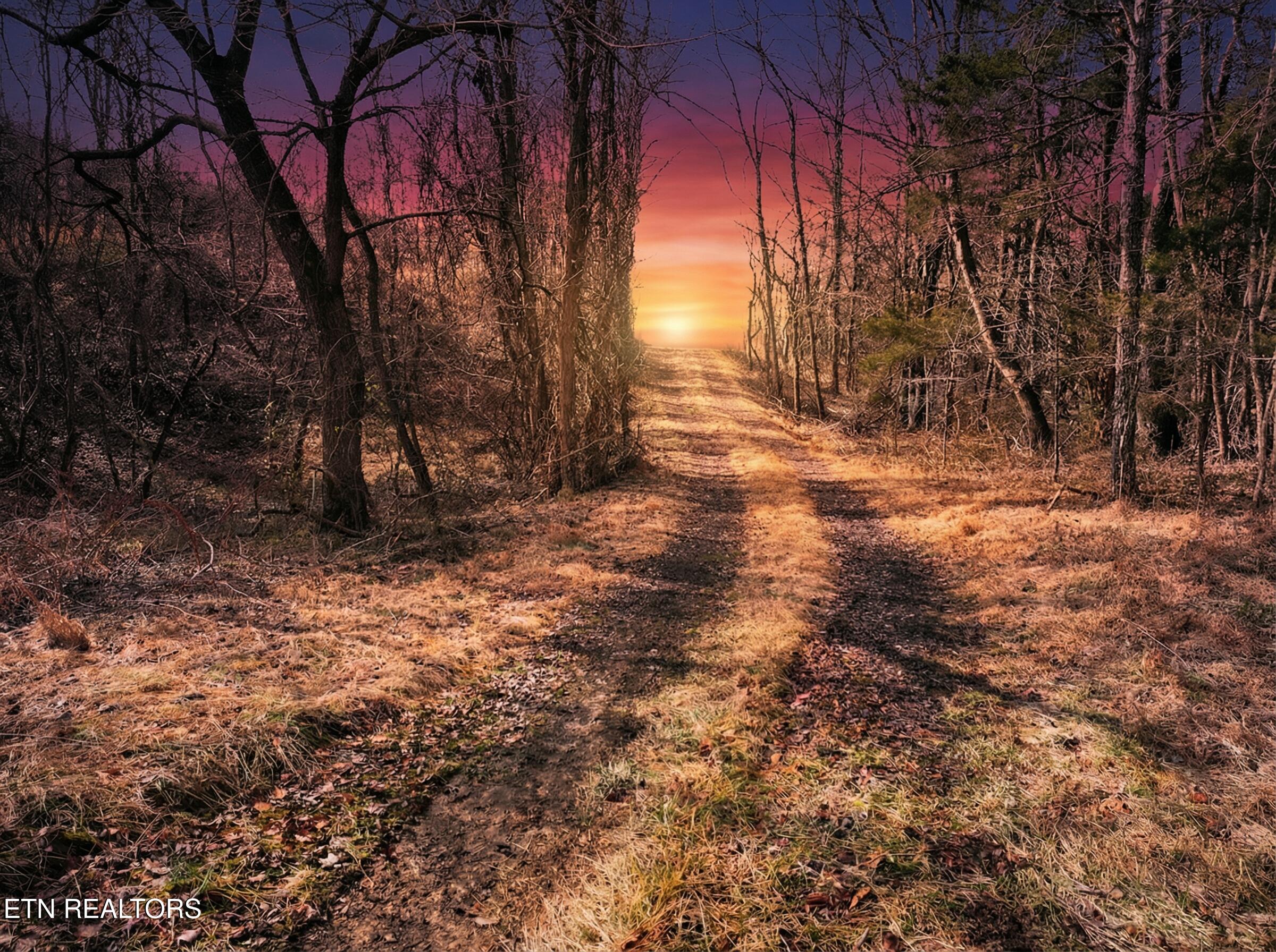 Jearoldstown Road, Unit 40/41 Chuckey, TN 37641 - Photo 11 of 23 O