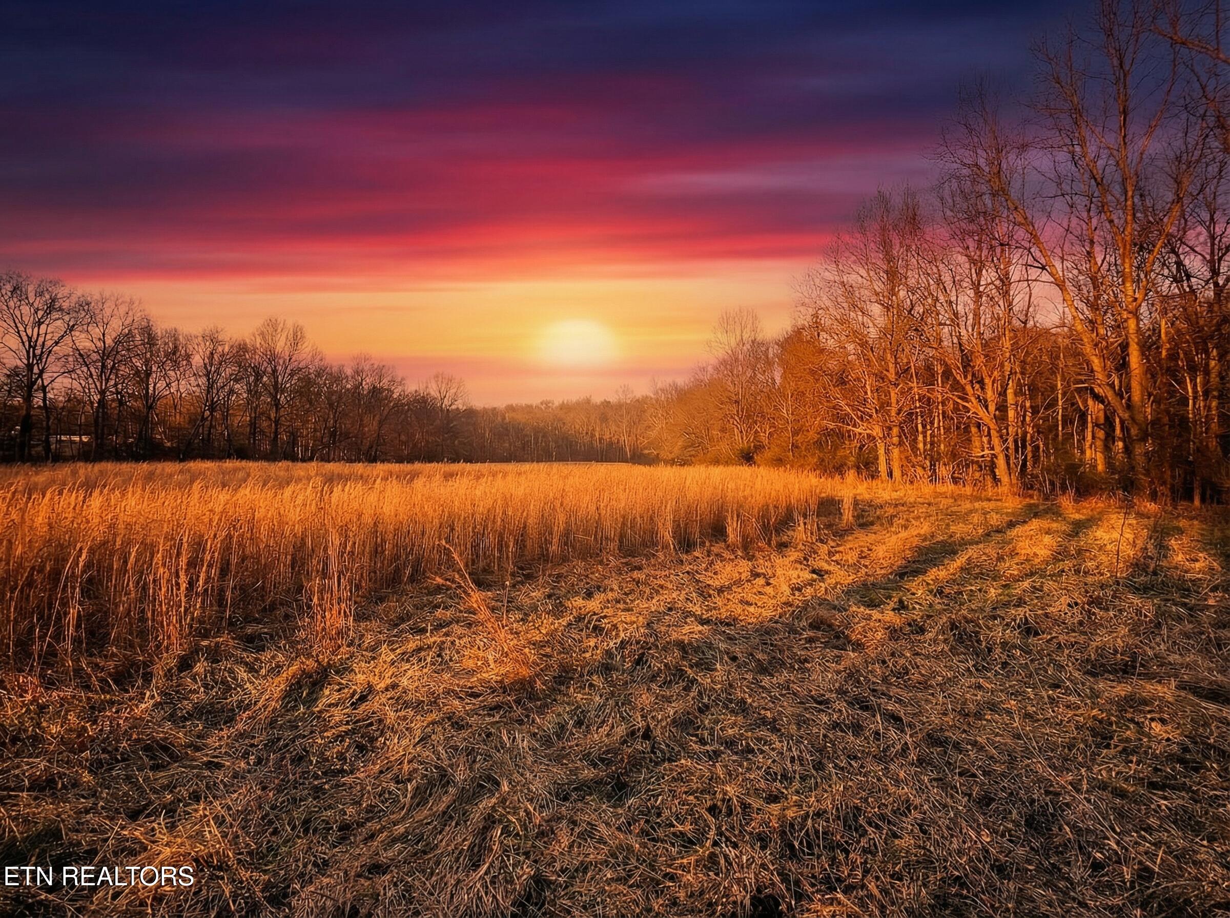 Jearoldstown Road, Unit 40/41 Chuckey, TN 37641 - Photo 12 of 23 O