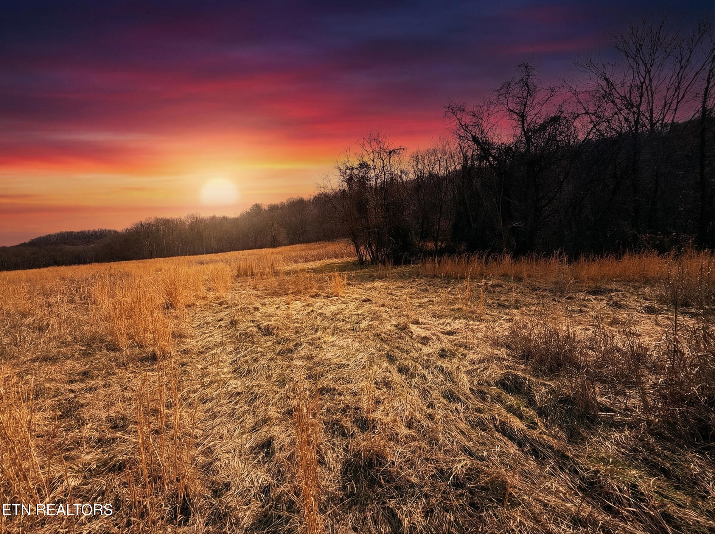 Jearoldstown Road, Unit 40/41 Chuckey, TN 37641 - Photo 13 of 23 O