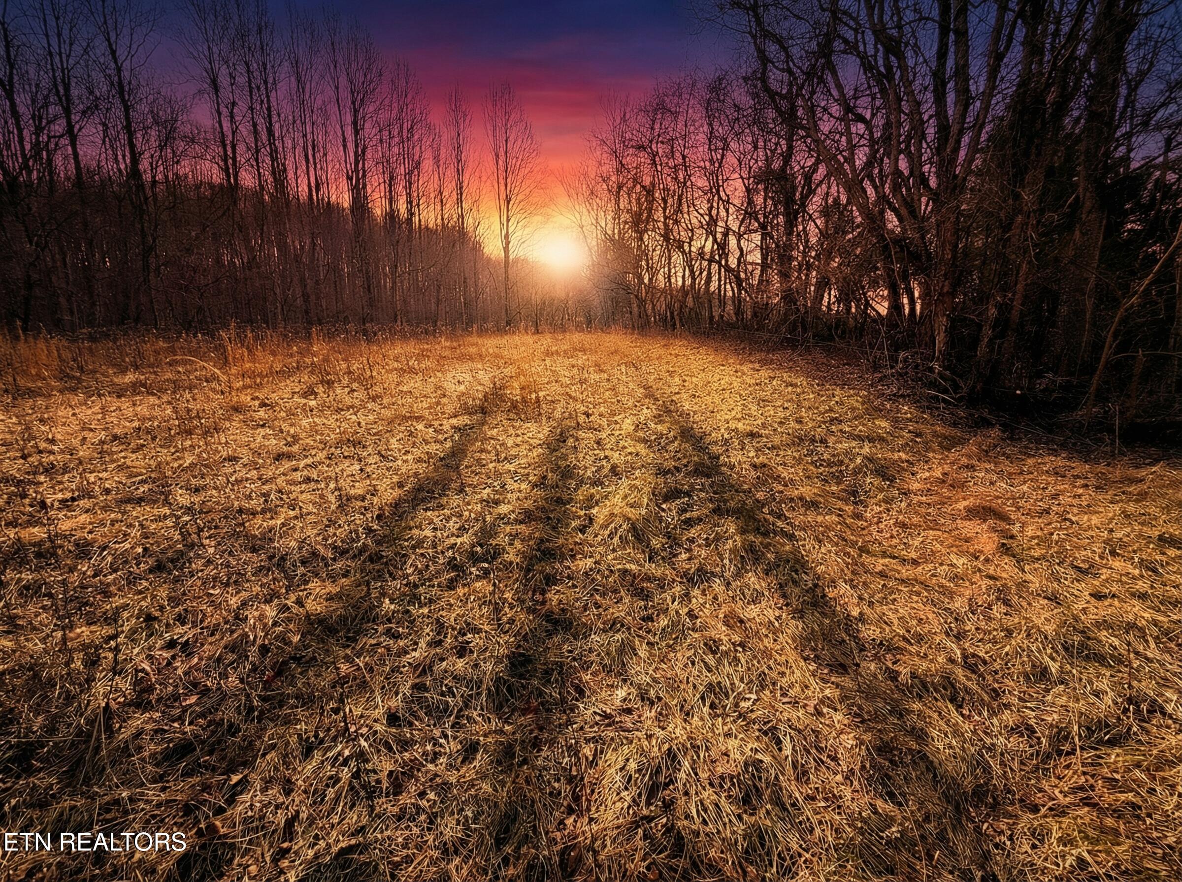 Jearoldstown Road, Unit 40/41 Chuckey, TN 37641 - Photo 5 of 23 O