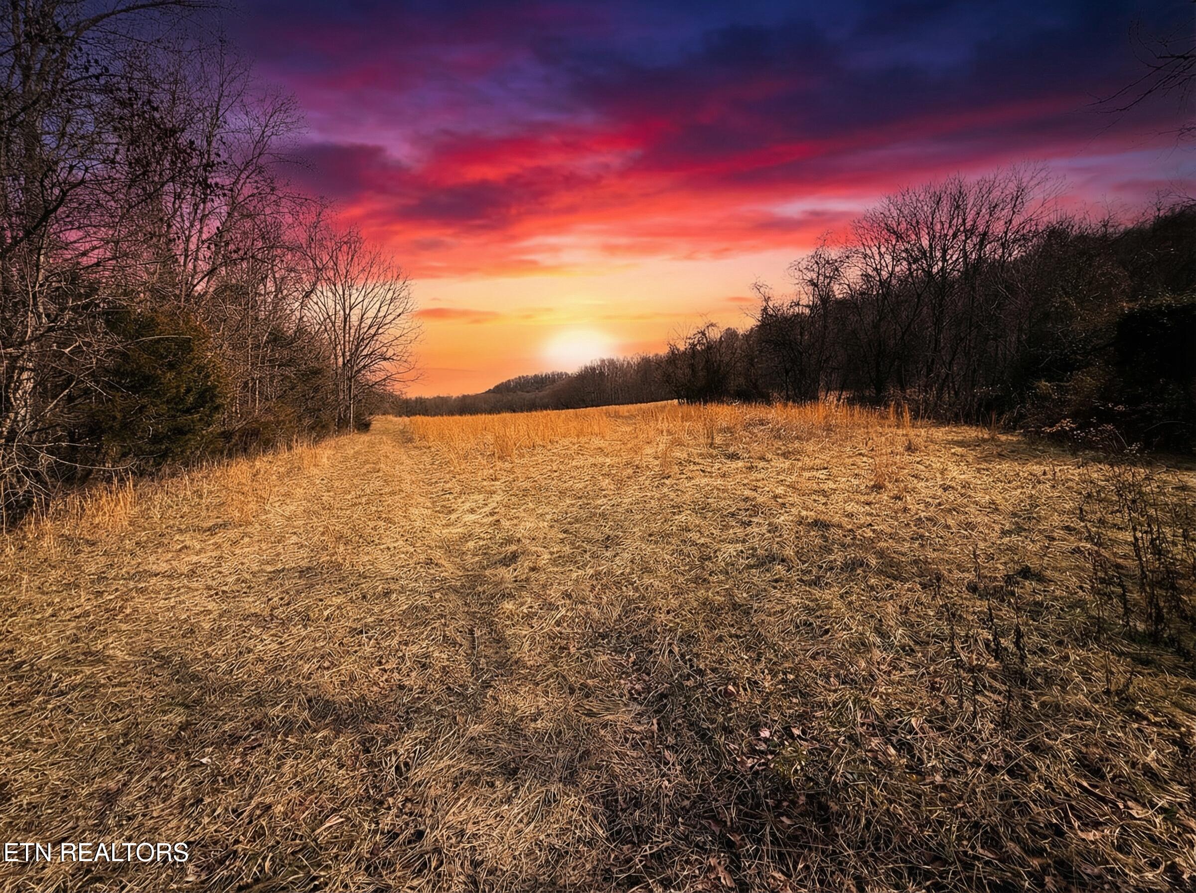 Jearoldstown Road, Unit 40/41 Chuckey, TN 37641 - Photo 6 of 23 O