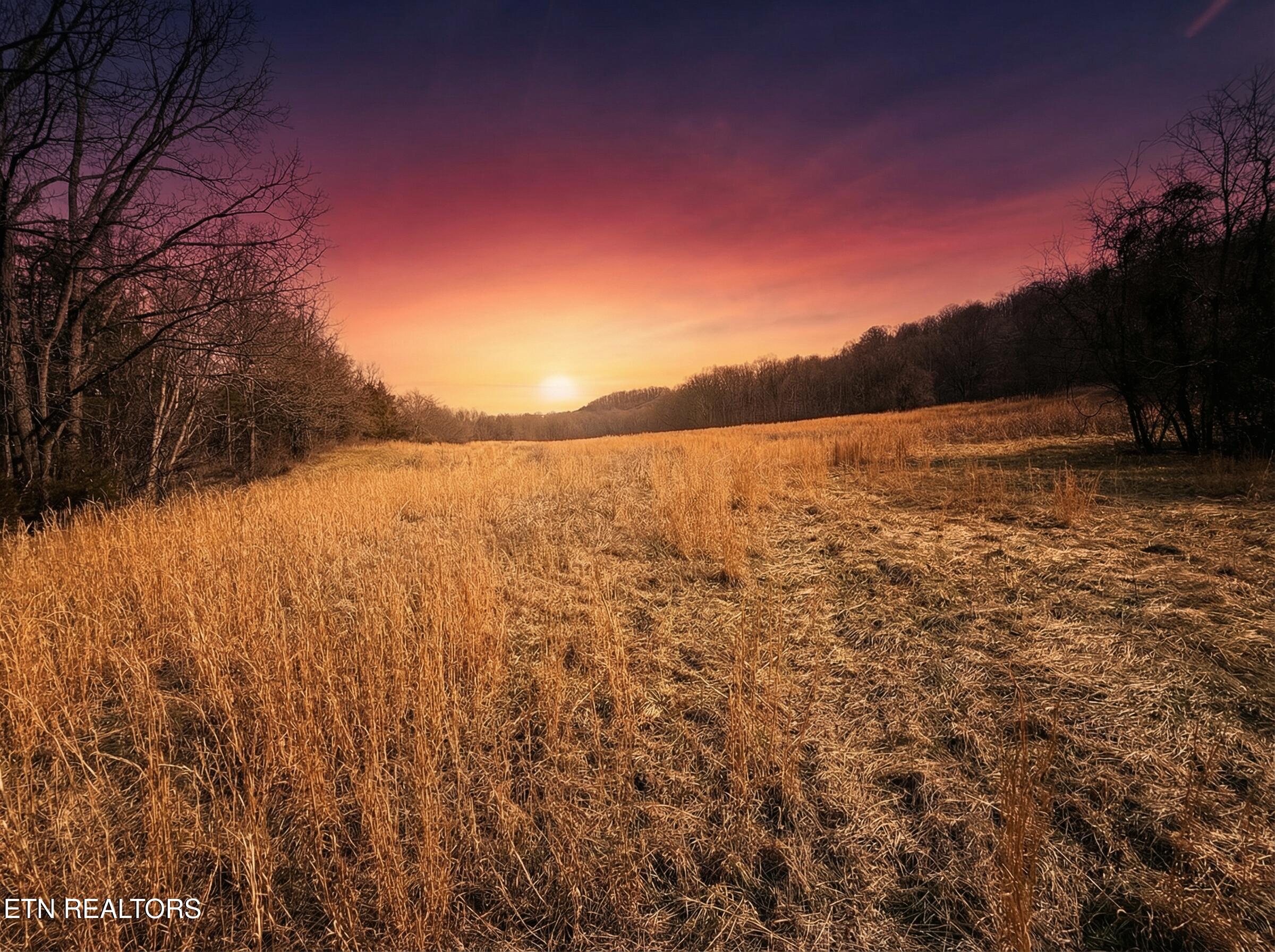 Jearoldstown Road, Unit 40/41 Chuckey, TN 37641 - Photo 8 of 23 O