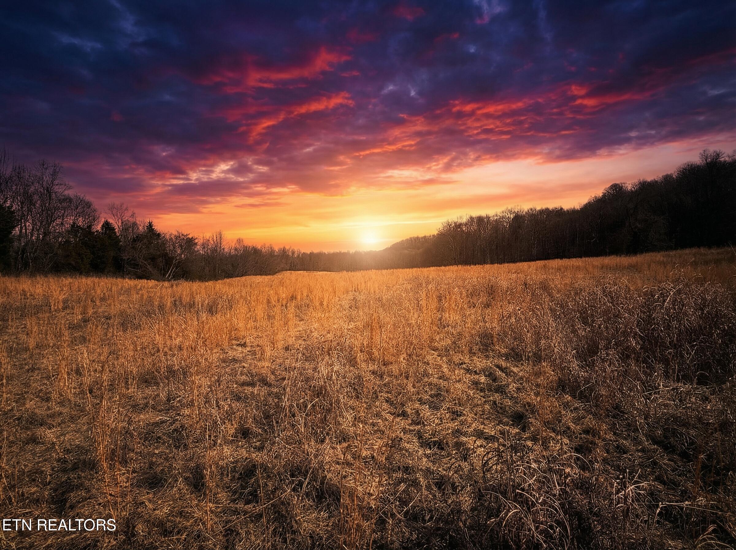 Jearoldstown Road, Unit 40/41 Chuckey, TN 37641 - Photo 9 of 23 IMG_5501_sunset