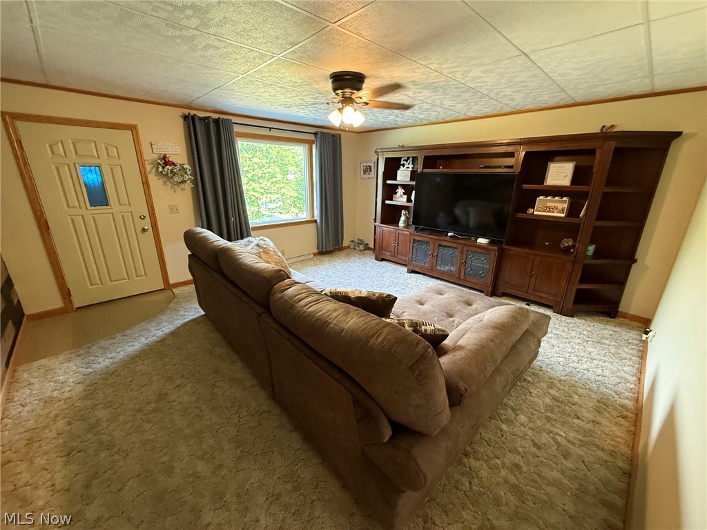 4223 Blacksnake Hill Road Northeast Dover, OH 44622 - Photo 20 of 50